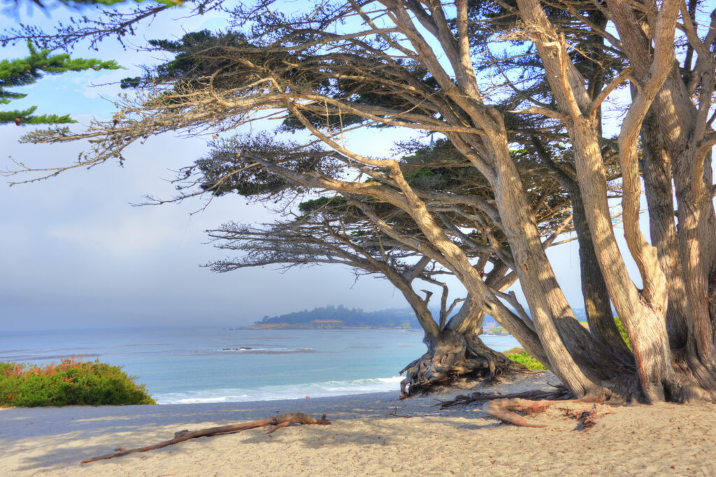 Beach Scene in Morning-Carmel,  California